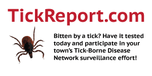 Tick Report