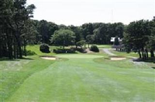 Golf Corse with Trees