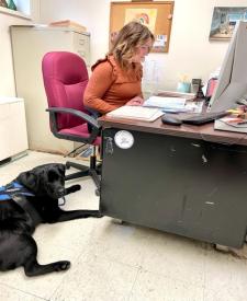 Dog Next to Person at Desk