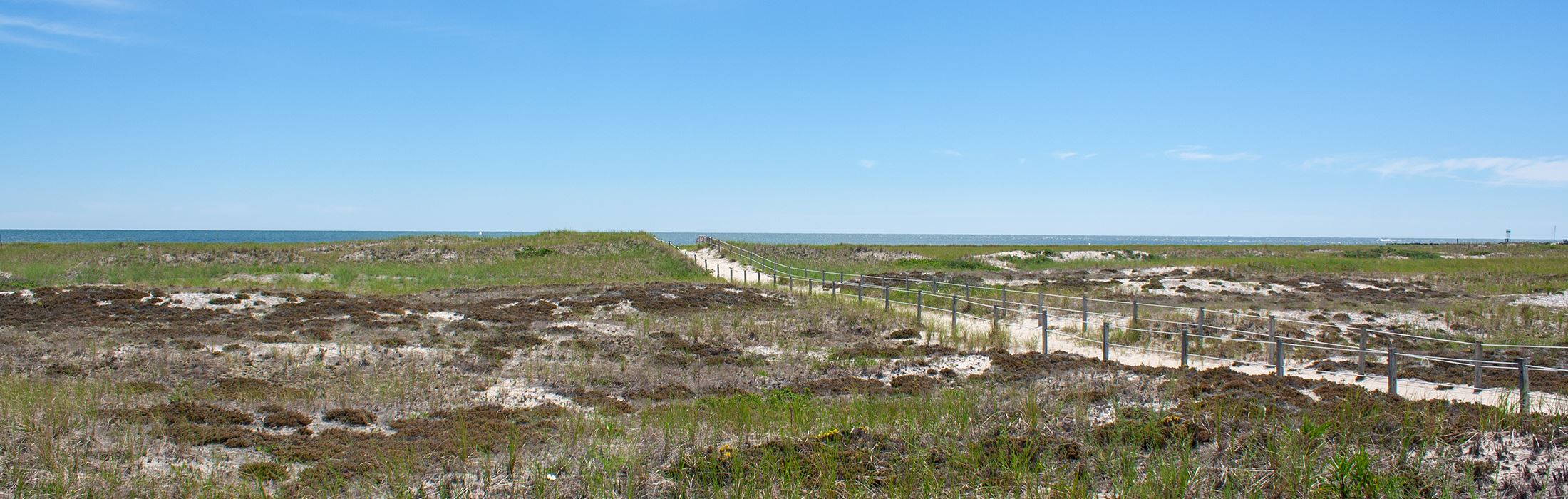 West Dennis Dunes-300