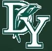 D-Y Dolphins